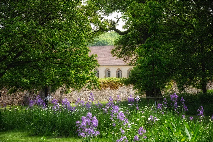 Mediterranean garden